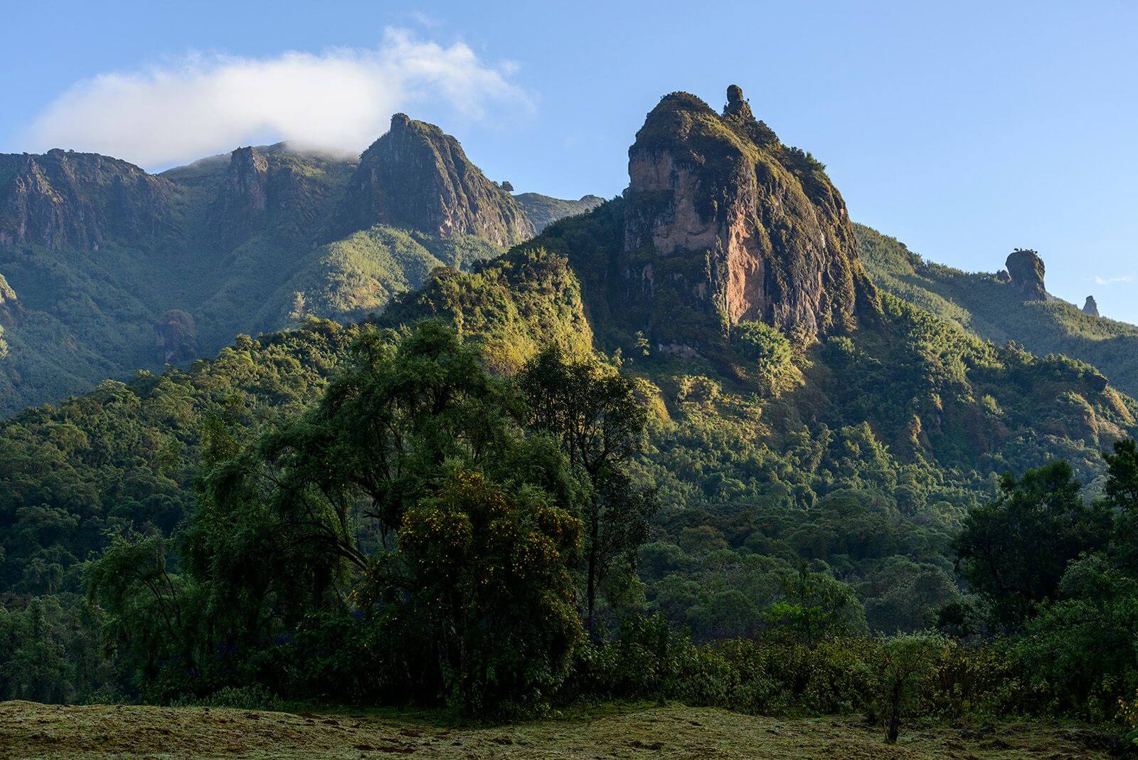 The Comprehensive Cultural South Expedition