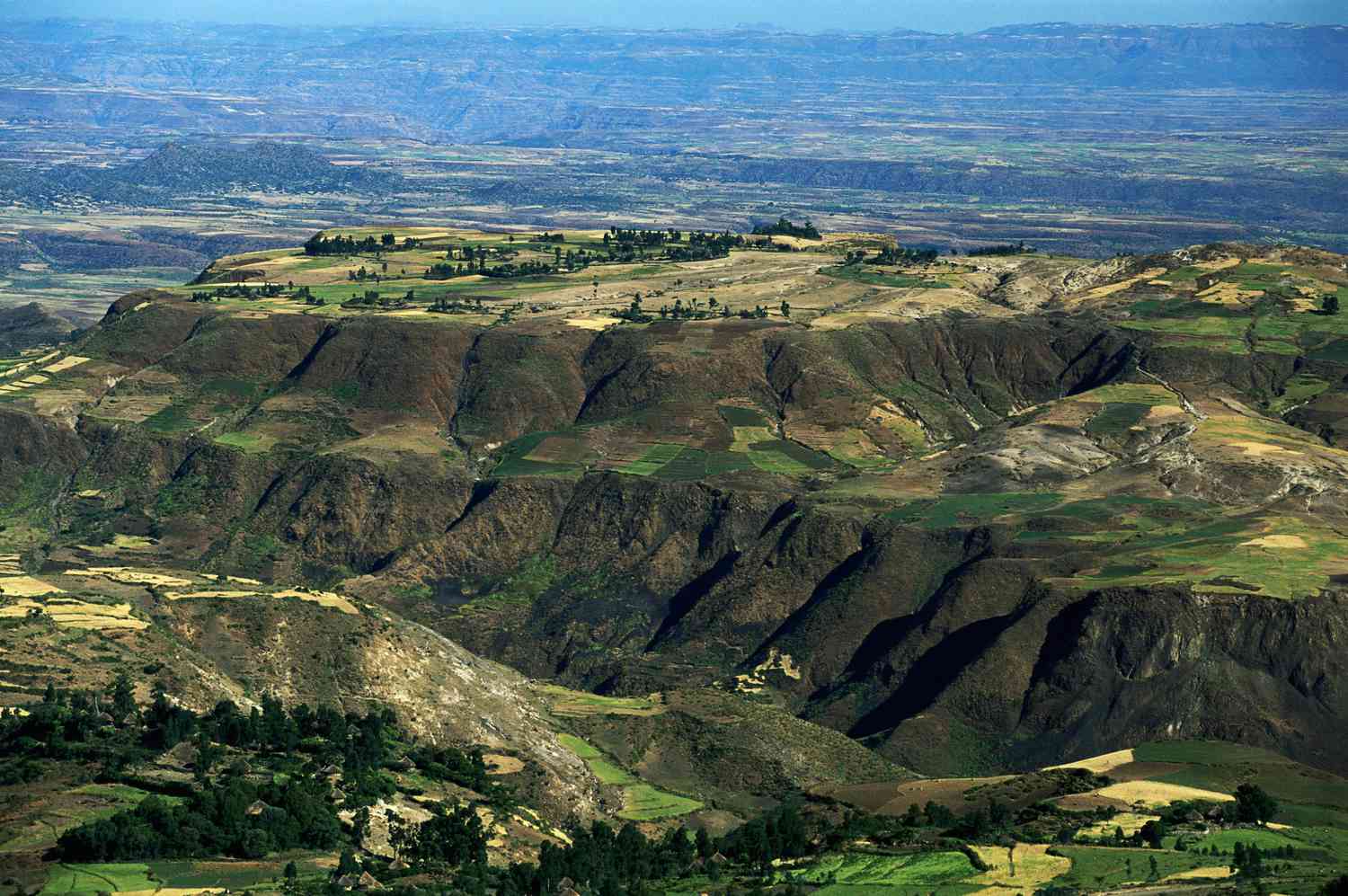 Ethiopia Expedition Photograph